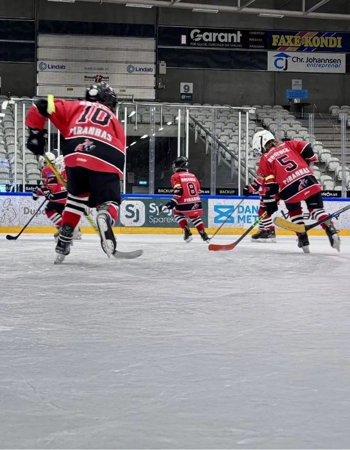 Eishockey Zitat