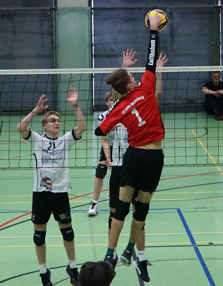 Luc Bild